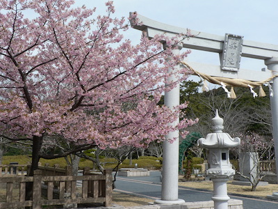 桜が池